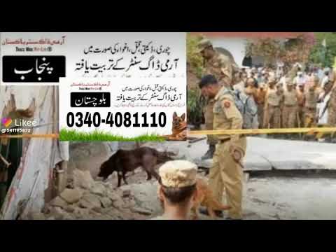 army Dog Center Rahim Yar Khan(2)