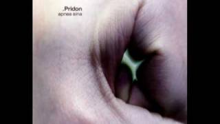 Pridon - One Of The Last Doctors