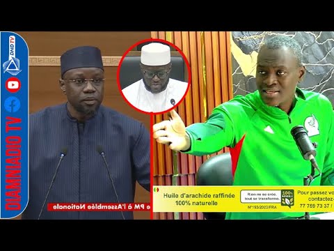 Current affairs question / Fallou Diagne: "I told you so, truly, there's nothing new under the sun."