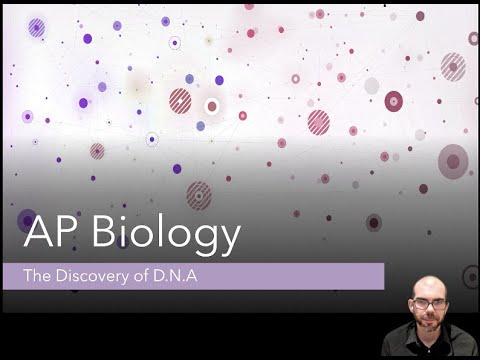 Discovery of D N A - AP Biology