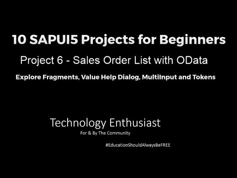 10 SAPUI5 Projects for Beginners - Project 6