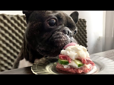 Making a cake for my dog