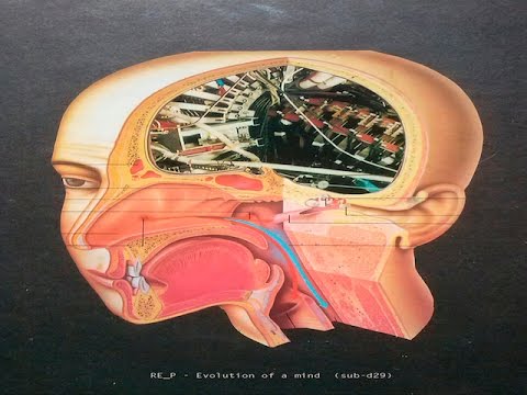 RE_P - Irrational Drives Are Unconscious (sub-d29)