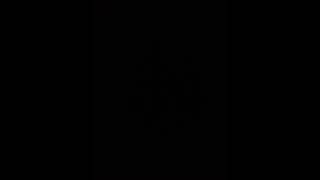 parents fighting - carcinogens (12/14)