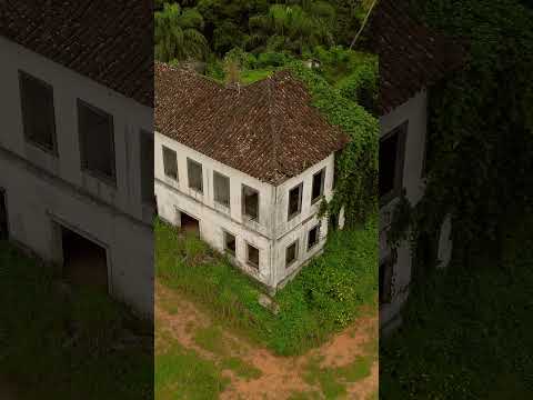 Fazenda União - Mimoso do Sul #djimini3