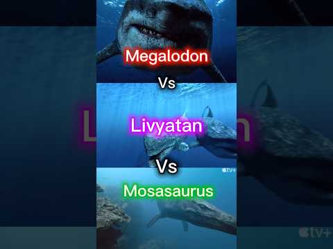 Megalodon vs livyatan vs mosasaurus #1v1 #marinemammal #paleontology