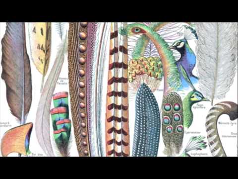 Javelin 'Susie cues' Rework 'Susies Blues' By Hairy Hands feat. Mr James Bright