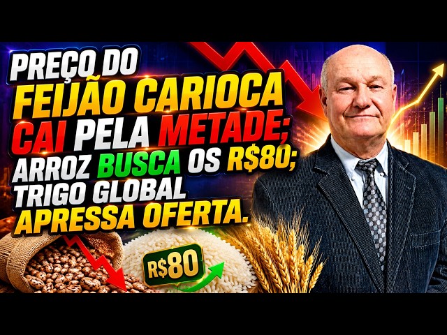 Preço do Feijão Carioca Cai Pela Metade; Arroz Busca os R$80; Trigo Global Apressa Oferta.