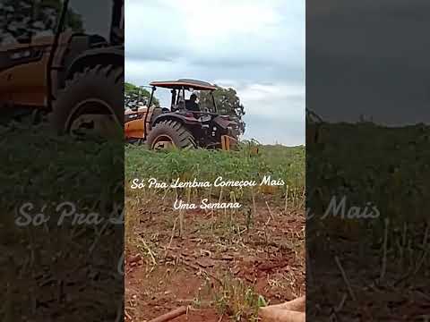 Planaltina Do Paraná É O Palco