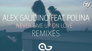 Alex Gaudino feat. Polina - Never Give Up On Love (Alexart Remix) - Time Records