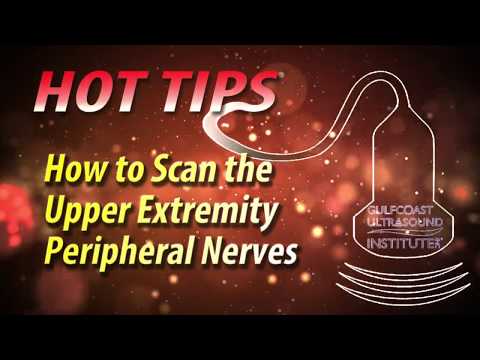 How to Scan the Upper Extremity Peripheral Nerves  (Ulnar Nerve, Median Nerve and Radial Nerves)