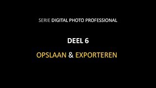 Werken met Canon DPP | Deel 6 Opslaan en exporteren (Dutch)