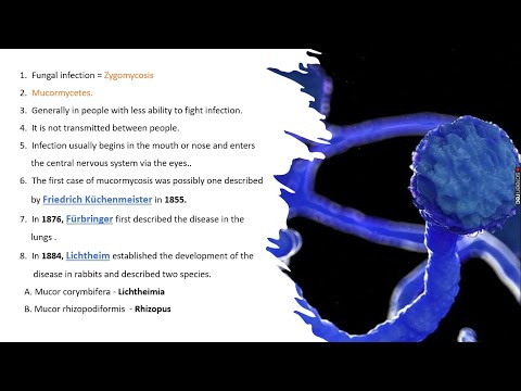 LYTIC CYCLE BY PHANINDRA GUPTHA