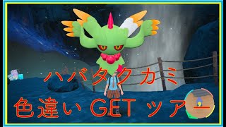 ハバタクカミ色違いGETツアー実施中！☆色違い配布イベ実施中☆孵化余り4体も配布中！詳しくは概要欄で【ポケモンSV】