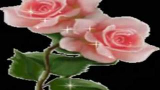 BRONCO- TE AMARE POR SIEMPRE... SAORI Y SEIYA (JIMX)