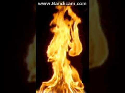 Предисловие 1.