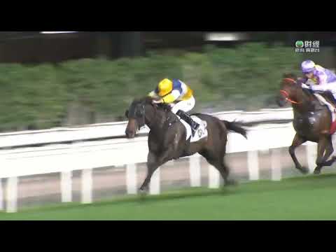 2022/23 (225) - Medic Elite (無敵精英) - 莫雅 (質新強配贏馬開齋)