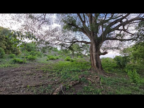  SE VENDE TERRENO EN CANTON LAS VENTANAS EL PAISNAL SAN SALVADOR CON VISTA PANORAMICA