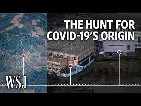 武汉实验室假说还是人兽飞跃？（Wuhan Lab Hypothesis or Animal-Human Leap? The Hunt for Covid-19’s Origins | WSJ）