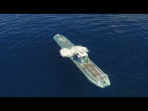 Atlantis Submarines Waikiki 30