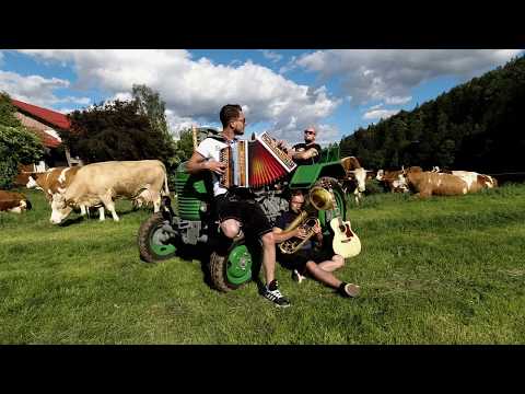 The Minions trio - Zillertaler Hochzeitsmarsch [Steyr version]