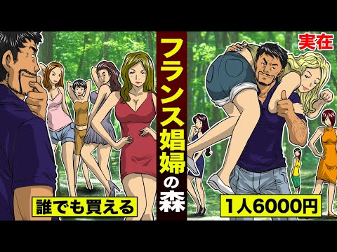Jojo Channelの年収 総収入は Youtubeランキング