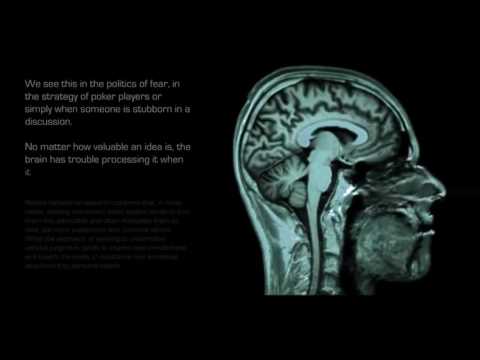 ALFA MASS COOL & TerraT - "EVERYDAY" Official 420 Music Video 2017