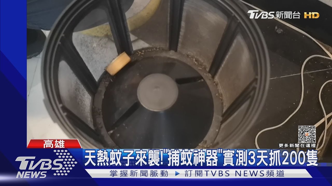 天熱蚊子來襲! 美式賣場「捕蚊神器」實測3天抓200隻