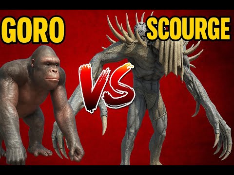 GORO VS SCOURGE! WHO WILL WIN! - ARBS
