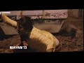 Lakshmi Menon Hot Panty Visible