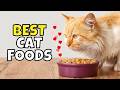 The Best Cat Foods Of 2025 According To Experts