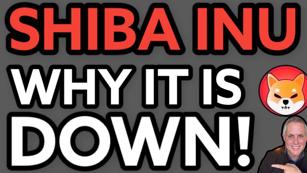 SHIBA INU – WHY IS IT DOWN RIGHT NOW? WILL SHIBA INU GO BACK UP?!