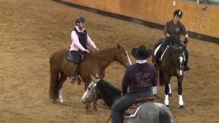 DAVID &amp; SANDI SIMONS THE ROAD TO CONFIDENT RIDING TRAILER HORSE RUSH TV