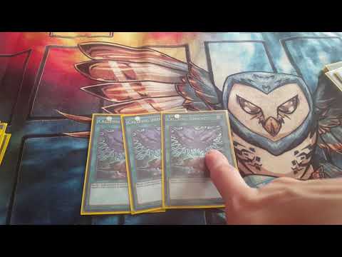 warrior orcust april 2020?!?! ft. Matt from wisefire alliance