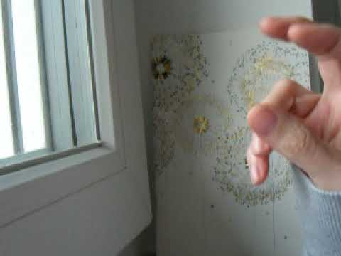 😨 BITCOIN = ZENTRAL (Verifizierung)