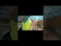 Im Injection For Injection In Clinic Clips Video Full Vlog
