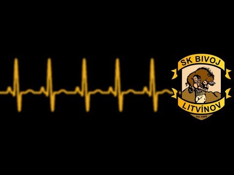 SK Bivojky Litvínov vs FBC Česká Lípa