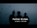 Pachai Kiligal SLOWED REVERB