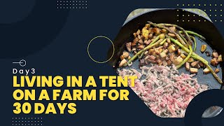 Living in a Tent on a Farm for 30 Days. Day 3.