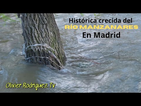 ¡Auténticas Postales! La Crecida del Río Manzanares en Madrid ya es Histórica. Impactantes Imágenes. -…