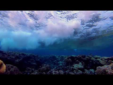 💧 Underwater Waves (10 HOURS) Ocean Waves Crashing with Underwater Sounds 💧