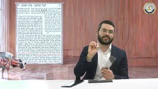 ⚔️ מסכת חולין בהמחשה חיה! דף י"ז ע"ב: שיעור פגימת הסכין - פרק 9 🔍 | הרב שמעון אופן בהמחשה ויזואלית 📸