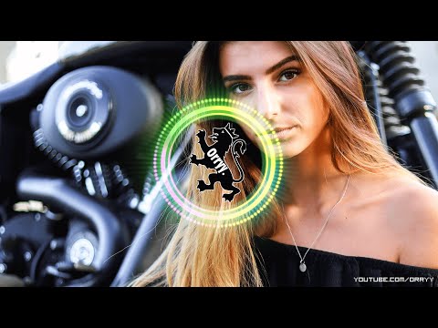 Shugz - Sweet Disposition | Orryy