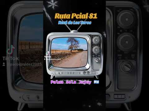 RUTA PCIAL 81 REAL DE LOS TOROS PALMA SOLA JUJUY ARGENTINA. JORGE CAFRUNE CANTA TIERRA QUERIDA🇦🇷