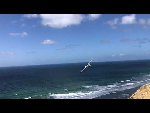 LET DG-1000 5.3m & HK ASW-27 4.3m