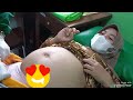 Cek Kesehatan Kandungan Di Bidan Puskesmas Cdnya Bagus Montok Kelihatan Cantik