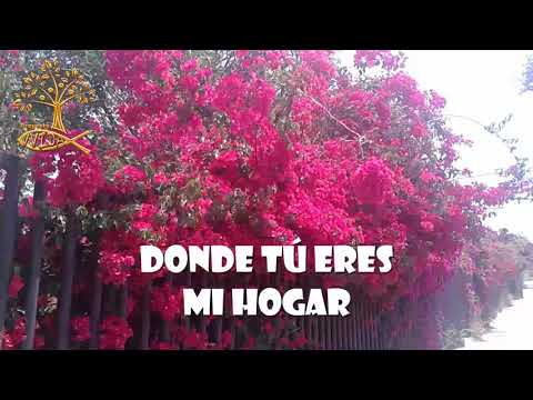 ETERNA RELACION (Su presencia)