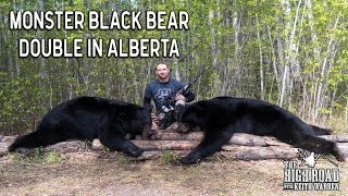 Monster Black Bear Double in Alberta