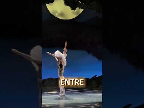 El Lago de los Cisnes, a cargo del Ballet de Jalisco, fue un acercamiento  a este clásico