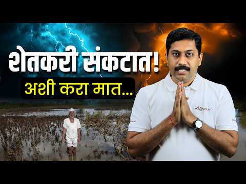 पिकं वाहून गेली? – पावसाच्या नुकसानीनंतरचं नियोजन